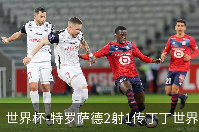 世界杯-特罗萨德2射1传丁丁世界波 比利时5-1新西兰获头名